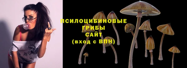 синтетический гашиш Инта